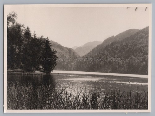 Thierberg bei kufstein 1958 - kufstein,